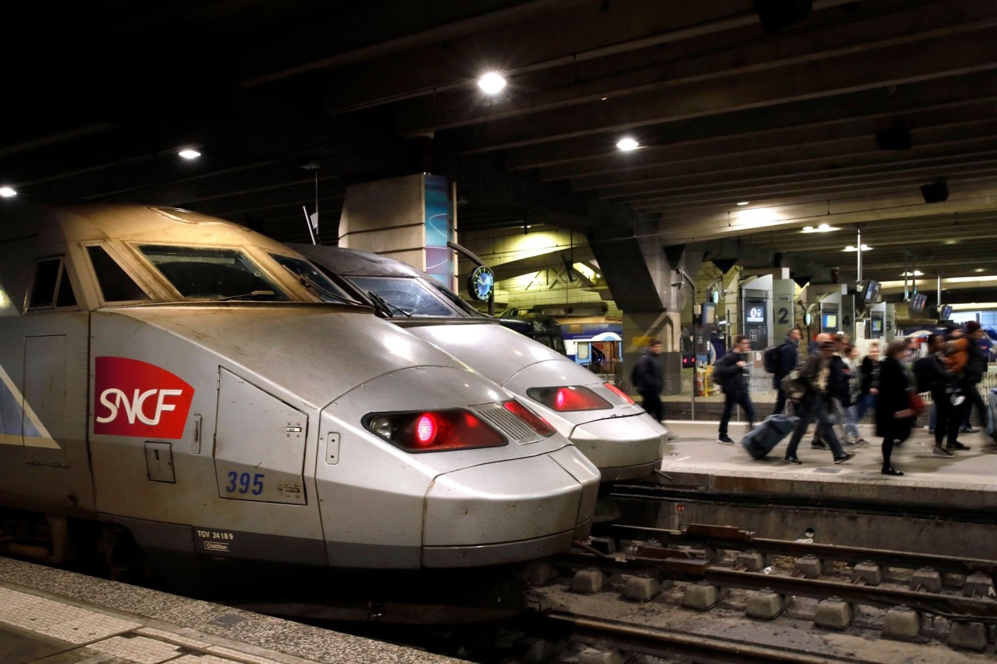 Im Pariser Bahnhof Montparnasse ist eine Katze von einem Zg überfahren worden - Frankreich diskutiert.