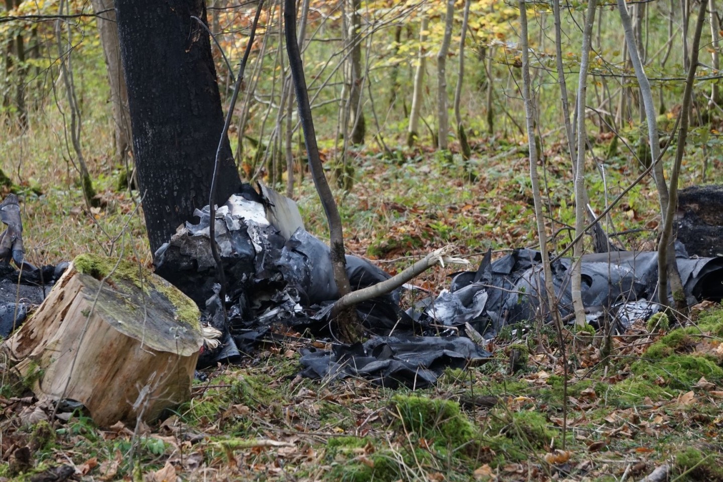 Das Flugzeugwrack an der Absturzstelle im Wald.