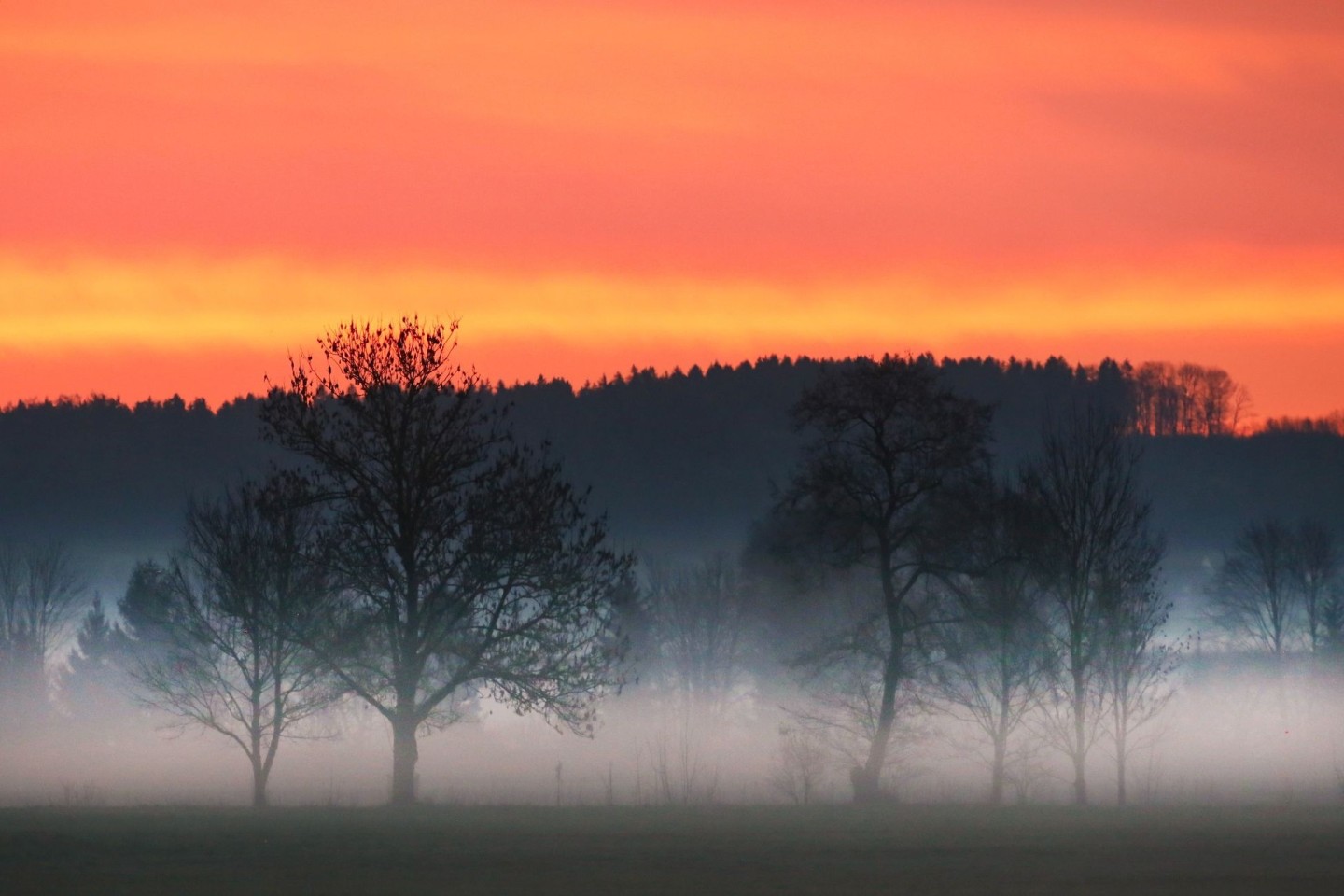 In Süddeutschland soll es in den kommenden Tagen meist sonnig sein.